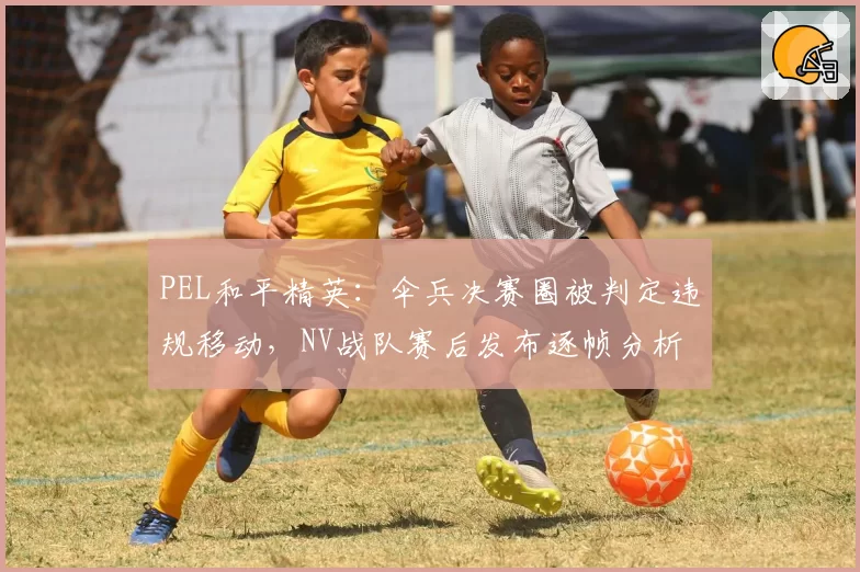 PEL和平精英：伞兵决赛圈被判定违规移动，NV战队赛后发布逐帧分析视频