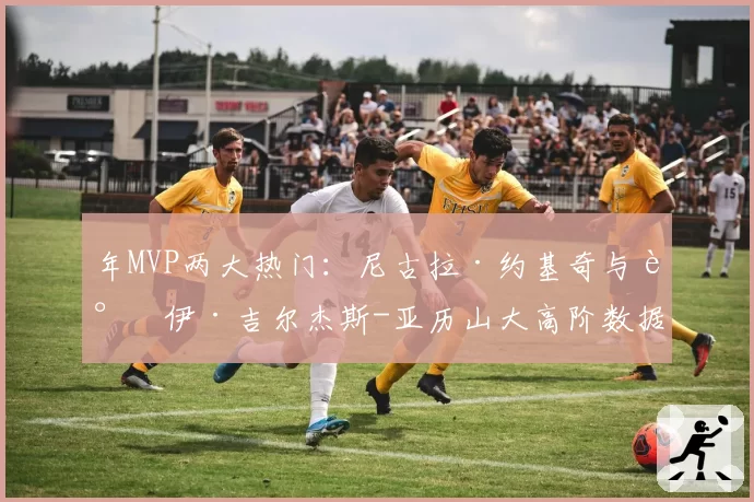 年MVP两大热门:尼古拉·约基奇与谢伊·吉尔杰斯-亚历山大高阶数据全面解析