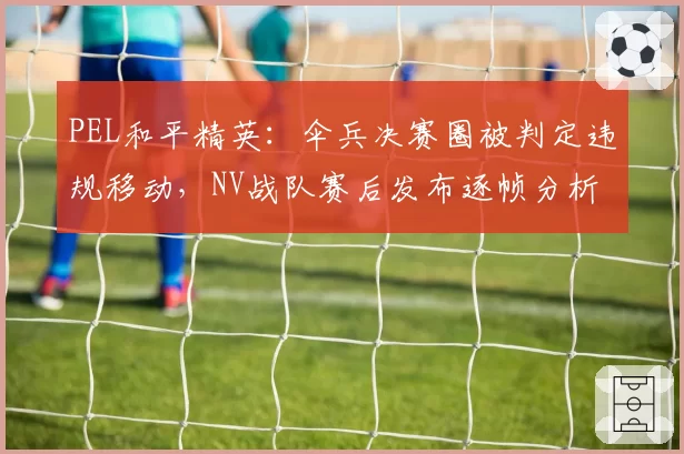 PEL和平精英：伞兵决赛圈被判定违规移动，NV战队赛后发布逐帧分析视频