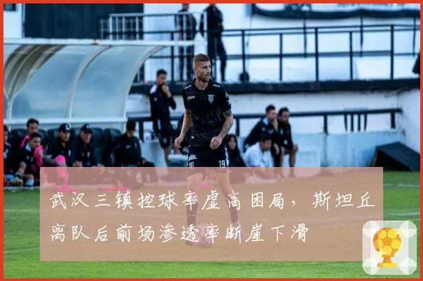 武汉三镇控球率虚高困局,斯坦丘离队后前场渗透率断崖下滑