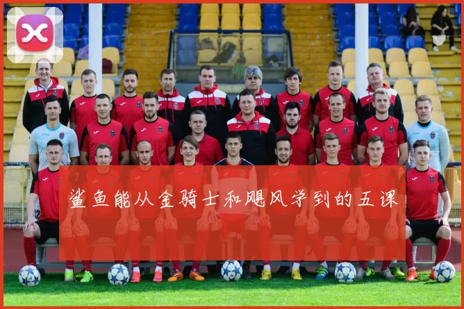 鲨鱼能从金骑士和飓风学到的五课