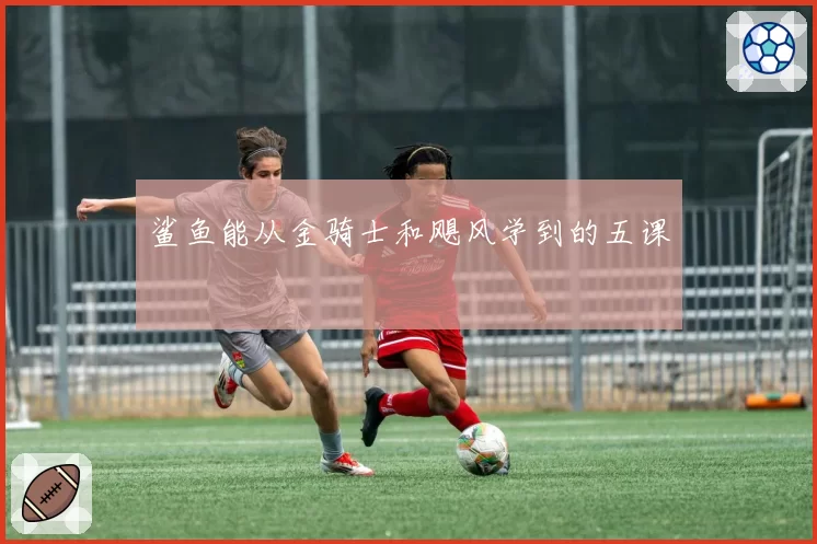 鲨鱼能从金骑士和飓风学到的五课